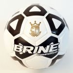 Brine Championship Soccer Ball