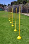 Weighted Dome Base Agility Poles