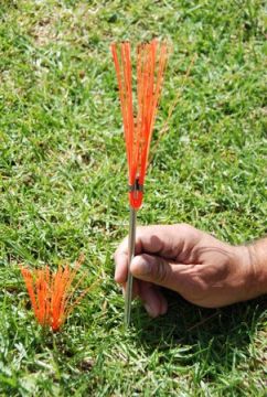 Whiskers for Field Marking Field